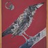 the eclipse bird