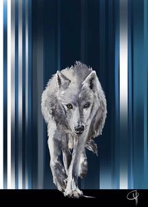 contest_entry_image