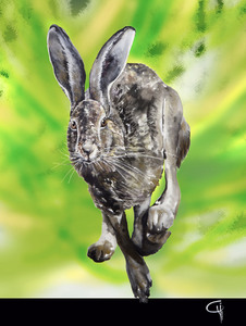 contest_entry_image