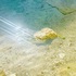 Sand, Ocean & Light 