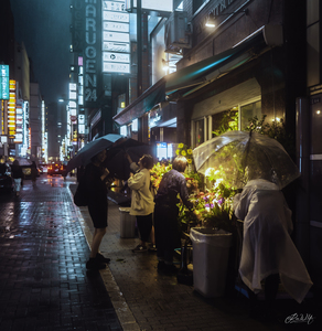 contest_entry_image