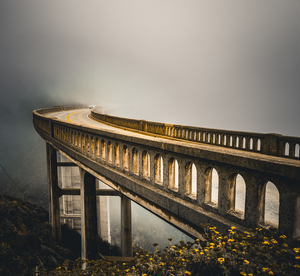 contest_entry_image