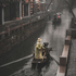Man and the Fisher Birds