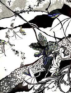 contest_entry_image