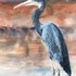 Black Heron