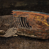 Abandonment(The Trace of Time)