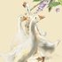 Four Geese under Lilac