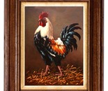 rooster - the master of the yard