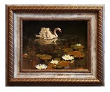 lonely swan