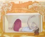 the house of cardboard