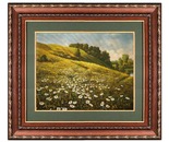  Daisies