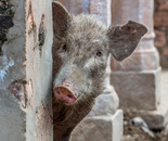 "I can seeeeee you...!"