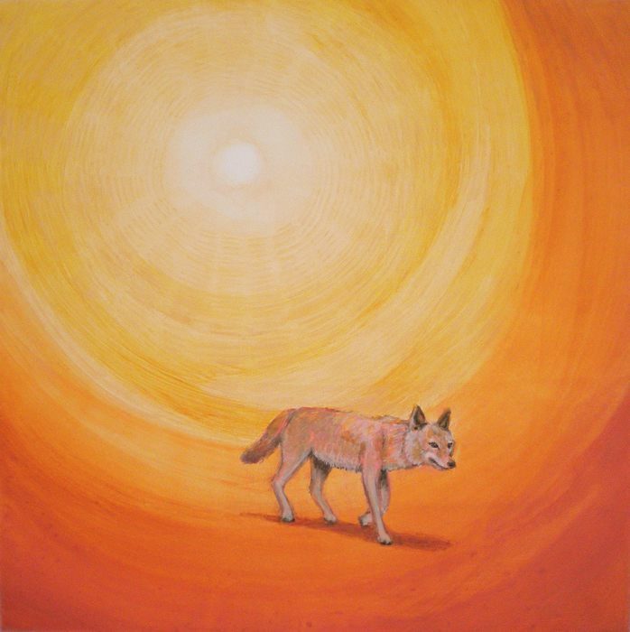 Sun Coyote