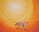 Sun Coyote
