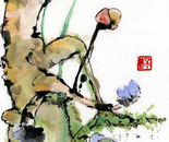 Ape Aiming To The Fruit