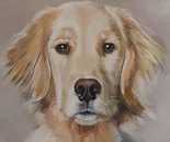 Bella Meriin, Oil on canvas, 50 by 70 cm