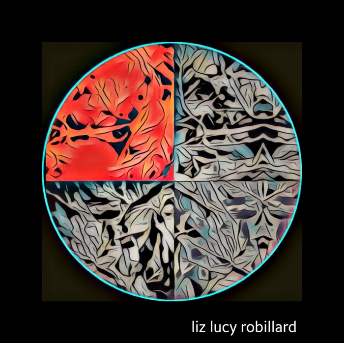 Natural Quadrant by Liz Lucy Robillard