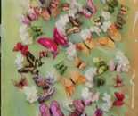 Butterflies Hapiness