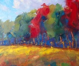 Belgian Autumn Series 