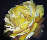 Bella Meriin, Oil on canvas, 100 by 100 cm