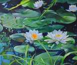 Bella Meriin, Oil on canvas, 60 by 80 cm