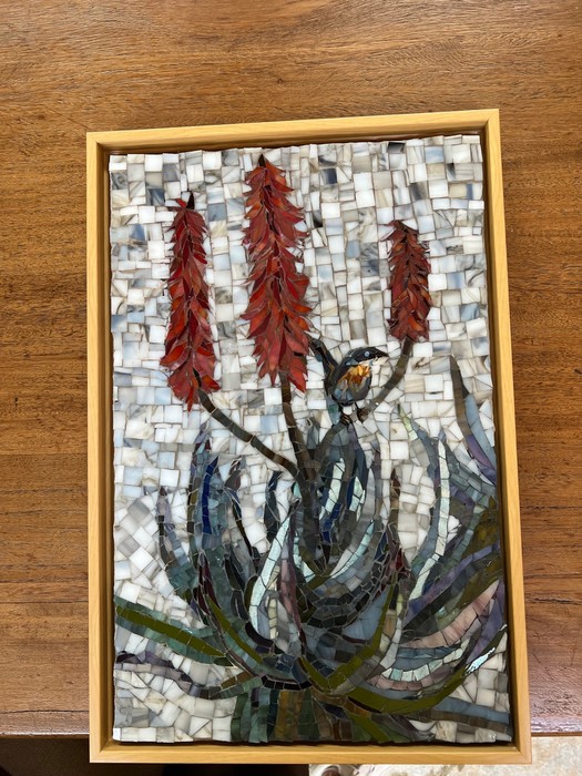 Te red Aloe and the Blue Bird