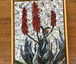 Te red Aloe and the Blue Bird