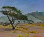 Bella Meriin, Oil on canvas, 50 by 80 cm