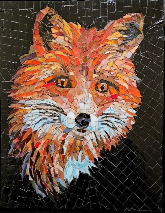 The Eyes of a Fox