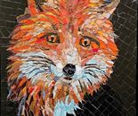 The Eyes of a Fox