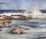 Seagulls in the Surf
