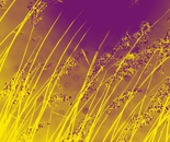 Pflanzen unter Himmel