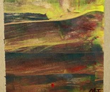 Autumn Forest