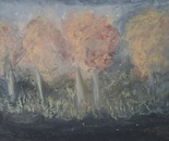 Veil of change by Laura Bernardeschi Nelson 