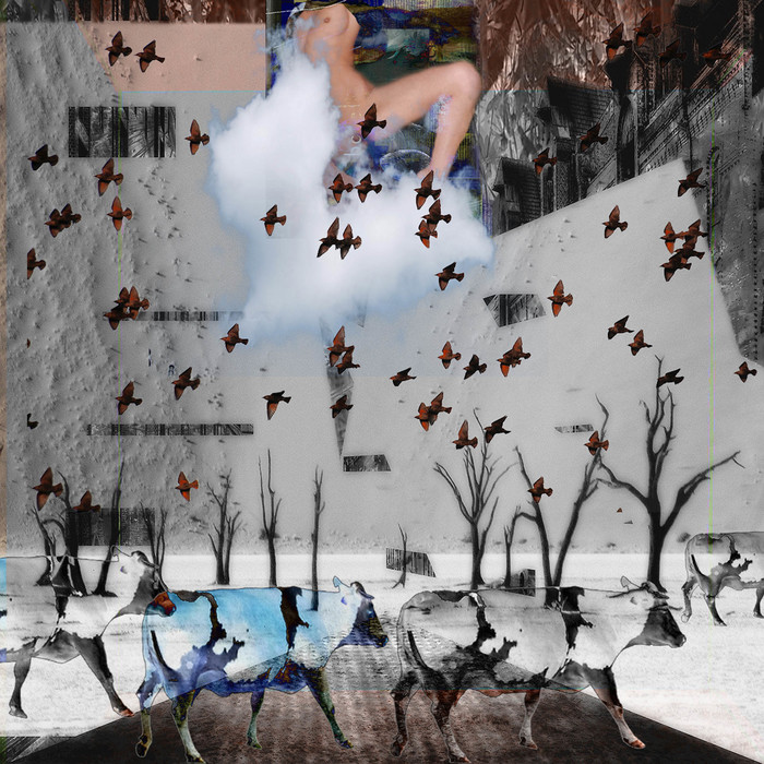 Adapted culture 11