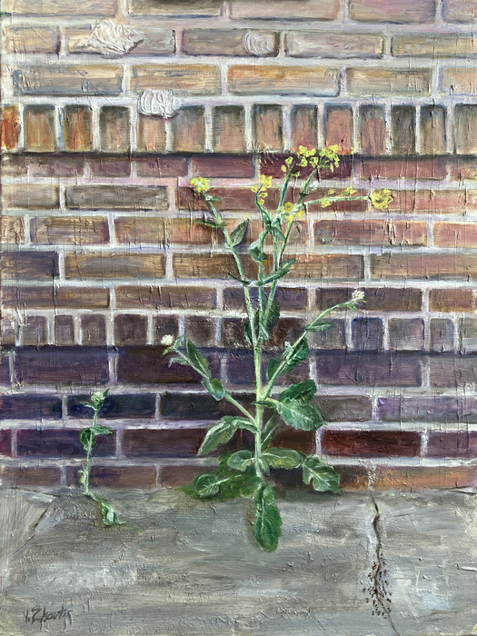 Perseverance of Nature/ Urban Landscape