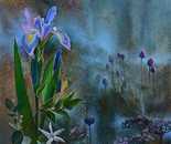 Bella Meriin, Oil on canvas, 70 by 50 cm