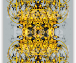 JEWELRY COLLECTION - 5