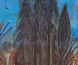 The Last Forest by laura Bernardeschi Nelson