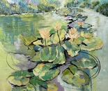 Lilypads Symphony in Mist