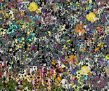 A new archeology opus 19-2