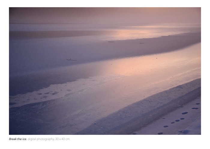 Break the ice by Elyse de Montis