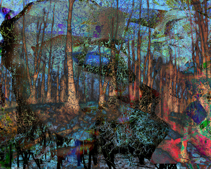 Dreamland forrest I