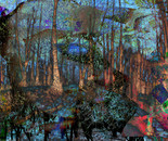 Dreamland forrest I