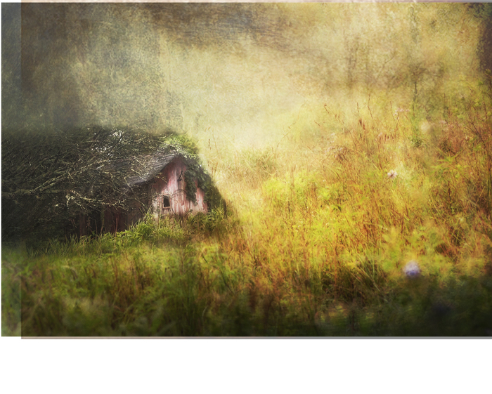 Tumbledown by Ann Brandeis