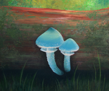 Stropharia Aeruginosa