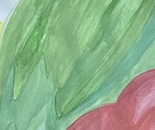 Green banana & mango 