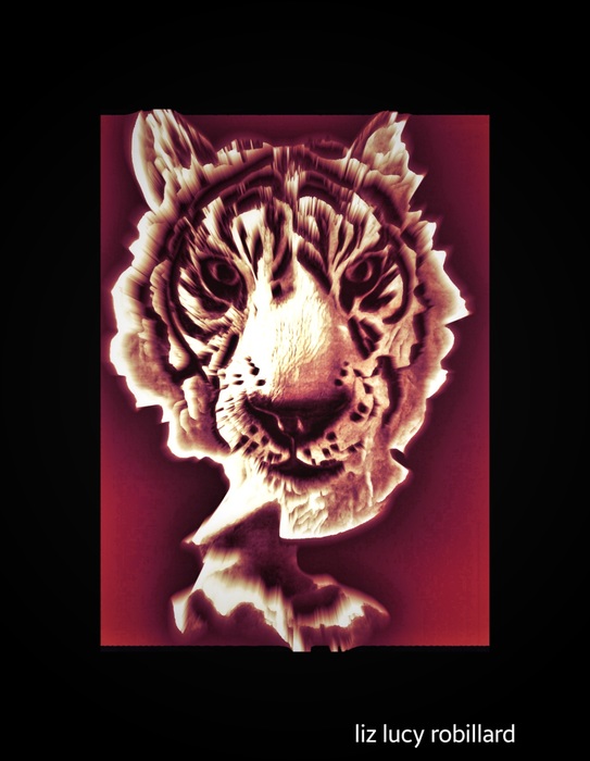 Spirit by Liz Lucy Robillard