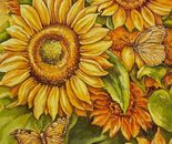 Alisa Cherkun Drukman,  Oil on canvas, 60 by 50 cm