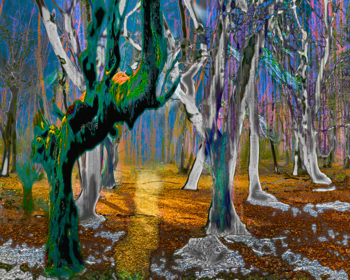 mystifying forrest 6